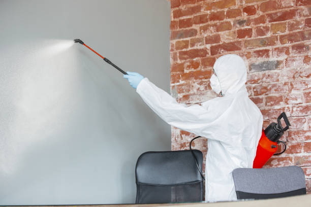 Best Crawl Space Mold Remediation  in Fort Lewis, WA