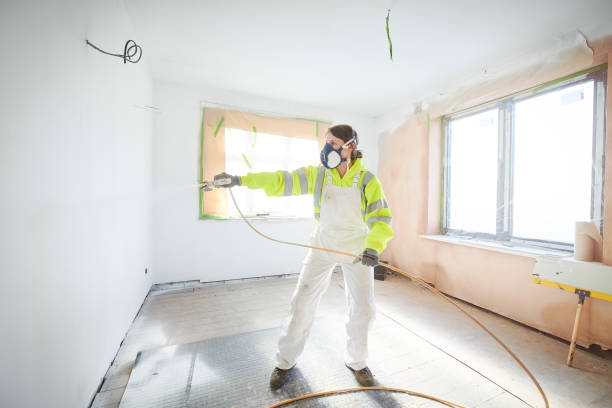 Best Mold Odor Removal Services  in Fort Lewis, WA