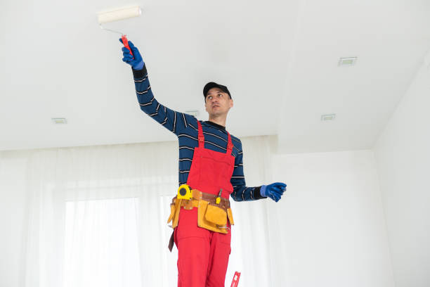 Best Black Mold Removal  in Fort Lewis, WA