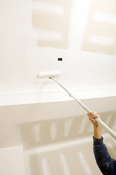 Best Attic Mold Removal  in Fort Lewis, WA